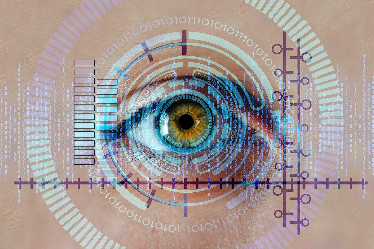An image of an eye for access using biometrics